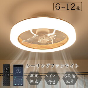 _4000~T^ߓd12 V[Ot@Cg led t@tƖ V[Ot@ @ 3500lm V䃉Cg Ɩ ȃGl F DC[^[ ^C}[@\ Cz Hsv 