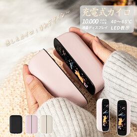 充電式カイロ あんか カイロ 電気あんか 大容量10,000mAh 40～65℃ LED電量確認 カイロ 充電式 カイロ 繰り返し 使える 2本セット 分離式 超軽量約114.2g ギフト プレゼント 通勤 通学 オフィス