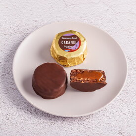 【冷凍配送】生チョコダックワーズサンド（3個入り）父の日 冷凍スイーツ 手作り お取り寄せグルメ お中元 お菓子 高級 チョコレート おしゃれ スイーツ お酒に合うチョコレート 記念日 お祝い 人気 プレゼント 大人チョコ デカダンス 白金 西麻布 decadence du chocolat