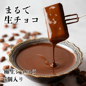 【極生ショコラ / 5個入り】 お中元 夏ギフト 夏の贈り物 ご挨拶 ご褒美スイーツ お菓子 高級チョコレート おしゃれ スイーツ お酒に合うスイーツ ギフト プレゼント グルテンフリー ヘルシーチョコ 大人チョコ デカダンス 手土産 贈り物 白金 西麻布 decadence du chocolat