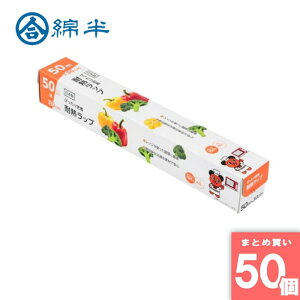 ȔvCx[guh [10][܂Ƃߔ]y50Zbgz҂薧 ϔMbv 50m×30cm [4589458477511]