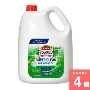 ԉ(kao) [10][܂Ƃߔ]y4ZbgzoX}WbNۃvX Ɩp [4901301511706]