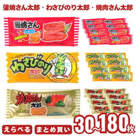 蒲焼さん太郎 業務用 おつまみセット 蒲焼さん太郎・わさびのり太郎・焼肉さん太郎 各60枚 おつまみ 珍味 駄菓子 詰め合わせ 業務用 つまみ 菓道 [まとめ買い]【180枚セット】