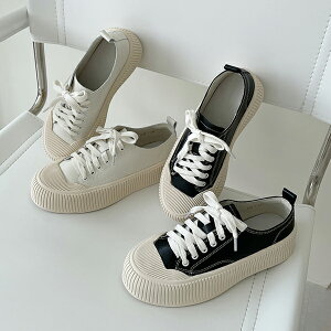 Xj[J[ VRv LbvgD  tbg fB[X  ubN x[W ₷ JWA Vv R Xb| C wlC ؍