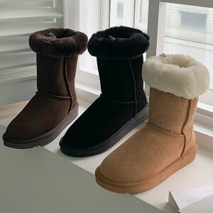 V[gu[c [gu[c v t[X tbg fB[X ؂ F  ubN uE x[W ₷ JWA C wlC ؍