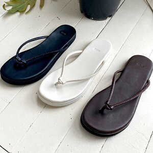 T_ gO r[`T_ tbg fB[X ؂ y^R  F  ubN uE zCg ₷ ɂȂ C wlC ؍