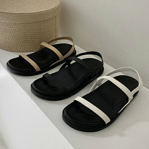 T_ r[`T_ ANXgbv tbg fB[X ؂ y^R   ubN AC{[ zCg ₷ C wlC ؍