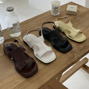 T_ obNXgbv tbg fB[X ؂ y^R  F F  ubN uE CG[ zCg ₷ C wlC ؍