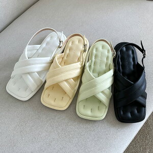 T_ tbg obNXgbv fB[X ؂ y^R   F ubN ~g CG[ zCg ₷ ɂȂ C wlC ؍