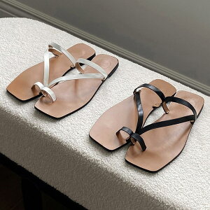 T_ TO ewO tbg fB[X ؂ y^R   ubN zCg ₷ ɂȂ JWA Vv C wlC ؍