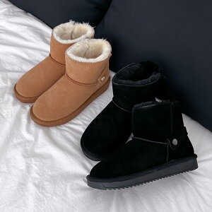 V[gu[c [gu[c vXG[h RR  fB[X tbg ؂ y^R  ubN x[W ₷ C wlC ؍