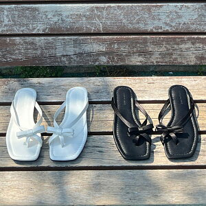 T_ TO ewO ڂ { U[ Te tbg fB[X ؂ y^R   ubN zCg ₷ C wlC ؍