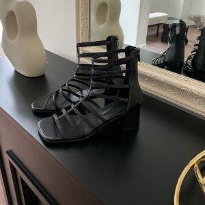 u[cT_ T}[u[c V[gu[c OfBG[^[T_ fB[X  ubN JWA C wlC ؍