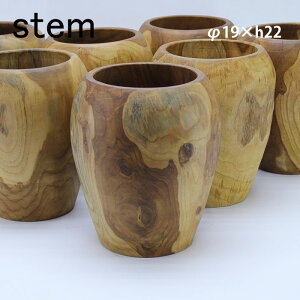 stem Xe@x[X20yCeA fBXv[ Ԋ O[ Ebh ϗtA@ԑ i` v^[ |bgJo[ Jo[ Aؔ stemtrunk IuWF@z