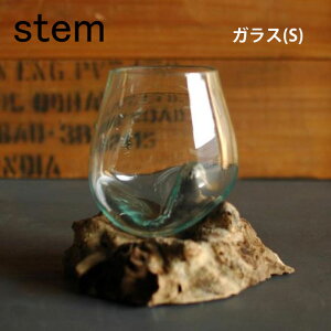 stem Xe@؃KX(S)yCeA eE IuWF O[ ϗtA Ö t[x[X Ԋ O[ Ebh ϗtA@ԑ i` `[NEbh v^[ O[C