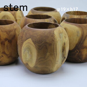 stem Xe@`[NO[u@yCeA fBXv[ Ԋ O[ Ebh ϗtA@ԑ i` v^[ |bgJo[ Jo[ Aؔ stemtrunkz