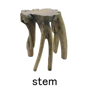 stem@Xe@CYUMISTOOL HEAVY@`~Xc[ wr[ystemtrunk@CeA@IuWF@`[N@ԑ@Xc[@Ö؁@ X܁@Yz