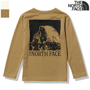 ySALEzTHE NORTH FACE UEm[XtFCX@L/S Firefly Tee@OX[ut@C[tCeB[iLbYjNTJ32348yT@AEghA@Lv@^E[X@ъԊwZ@OwK@R@