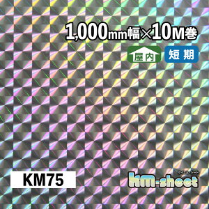 L ̂t ^bNzOV[g p KMV[g 1000mm×10M KM75 zO LLV[g DIY H CN  Cxg W X  wZ ct Ǝ{ NX}