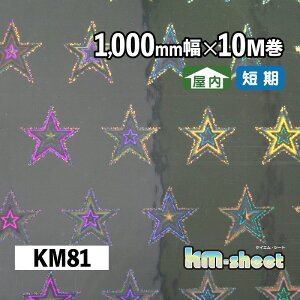 L ̂t ^bNzOV[g p KMV[g 1000mm×10M KM81 X^[ zO LLV[g DIY H CN  Cxg W X  wZ ct Ǝ{ 