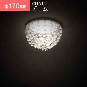 ~jVfA _ECg t ȒP Ɩ CHA12 h[(DOME) 170mm 135mm 110mm  VfA NA KX   tH[ Vz }V X  ʘH L gC 
