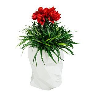  fBXvC ^ 傫 ^ `[t l   CpNg A[eBtBVt[ j JXj v[g yLAU1601A_S bhA}Xzs zeA