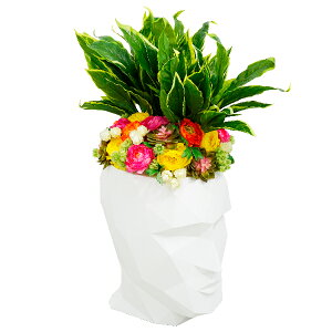  fBXvC ^ 傫 ^ `[t l   CpNg A[eBtBVt[ j JXj v[g yLAU1602 A_S iLXzs zeAa