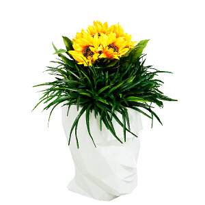  fBXvC ^ 傫 ^ `[t l   CpNg A[eBtBVt[ j JXj v[g yLAU1603 A_S q}zs zeAa@̃