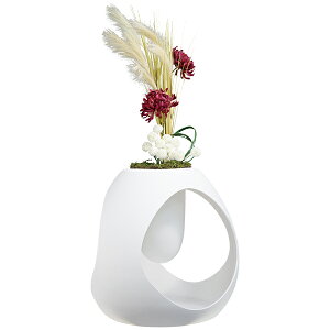 t[IuWF t[A[g tFCNt[ VL[t[ ^ t[AWg ԃAW IWi Ԃ̂炵 Ԃ݂ȑ yLAU2703 ][C72 