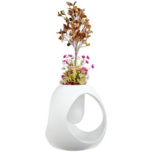 t[IuWF t[A[g tFCNt[ VL[t[ ^ t[AWg ԃAW IWi Ԃ̂炵 Ԃ݂ȑ yLAU2705 ][C72 