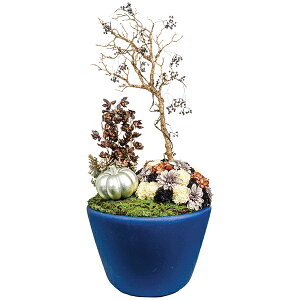 ϗtA tFCNO[ A[gO[ A lHA O[ AWO[ Ɩp  ^ ^ 1[gȏ sv eiXt[ yLAU2805 v nEB