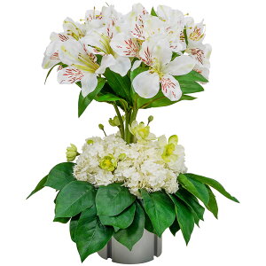 yRAL0012 AXgA^Xm[{[ztFCNt[   e[u Aȑ A[eBtBVt[ A[gt[ AWg v[g 蕨 Mtg C