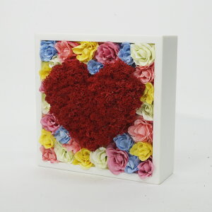 iyRK071 e[uAW-Xt[ n[gztFCNt[   e[u A  A[eBtBVt[ A[gt[ AWg v[g 蕨 