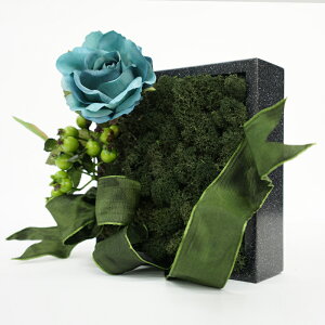 iyRK072 e[uAW-Xt[ u[[YztFCNt[   e[u A A[eBtBVt[ A[gt[ AWg v[g 