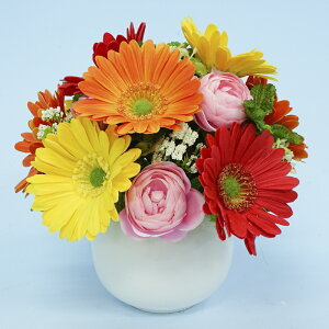 yRK078 e[uAW-V[|bgL K[xAWztFCNt[   e[u A  A[eBtBVt[ A[gt[ AWg v[g 