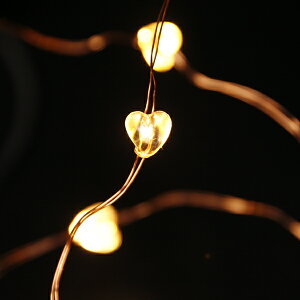 C~l[V dr SIRIUS NX}X fR[V LAERKE n[g NA LED Cg drʔ C[  c[ [X  ANZg Cxg  X 