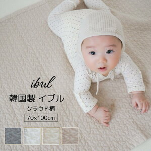 Cu ؍ NEh 70×100cm ȑʃ^Cv xr[TCY ~pbh LeBO}bg O }bg Ԃ xr[}bg vC}bg QA[g \t@[Jo[ 􂦂 I[