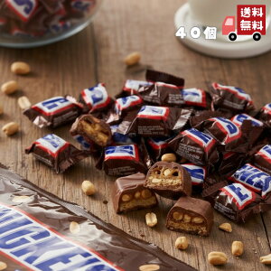 XjbJ[Y ~j 40  `R[g  SNICKERS MINI  [ RXgR  Mtg o^C