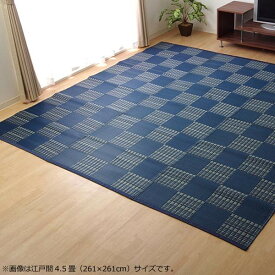 洗える PPカーペット 『ウィード』 ネイビー 江戸間6畳(約261×352cm) 2121506