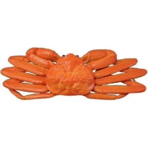 {El HiTv YCKj@IP-385 Eߋ ACfAߋ