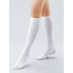 nN]E@lItbNXS@nC\bNX^Cv@eXgbLO@M[@SE2700121 NObY qpi