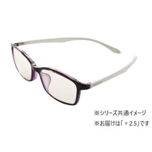 u[CgJbg@\t@ߗݐiVjAOX@PCrA[@+2.5@2993-1325Ep[vzCg xr[/Vo[ pi