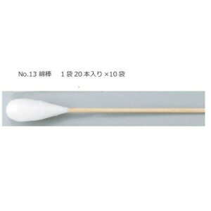 Ȗ_ No.13 1240004 NObY qpi