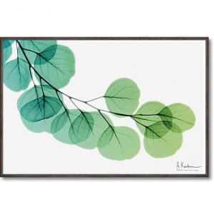 ���[�p���[ X RAY �L�����o�X�A�[�g �u���[�J���v S�T�C�Y XR-03813 �C���e���A ���̑��C���e���A