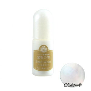 PADICO �p�W�R ���W����p���F�� ��΂̎� �p�[���V���[�Y �p�[���z���C�g 5ml×3�{�Z�b�g 403250 ���̑����C�t�O�b�Y�i��j ��|�E�N���t�g�E���n