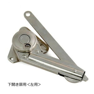 17172 NSDX-10LK ���v�R���X�e�[ 1�� 00017172-001 �K�[�f�j���O�EDIY�E�h�E�� �K�[�f�j���O�E�ԁE�A���EDIY