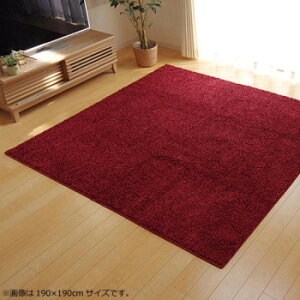 ���O �J�[�y�b�g �w�V�����[���[�x ���C�� ��190×190cm 4722679 �C���e���A �~���E�J�[�e��