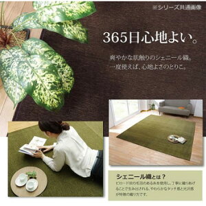 �V�F�j�[���D�J�[�y�b�g �w���f���m�x �O���[�� ��200×250cm 4599339 �C���e���A �~���E�J�[�e��