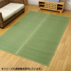 ԂJ[ybg O wDXN[x O[ ]ˊ8(348×352cm) 4320408 CeA ~EJ[e