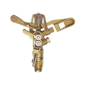 Oh SANEI p[gT[NXvN[㕔 C55F-13 K[fjOEDIYEhE K[fjOEԁEAEDIY